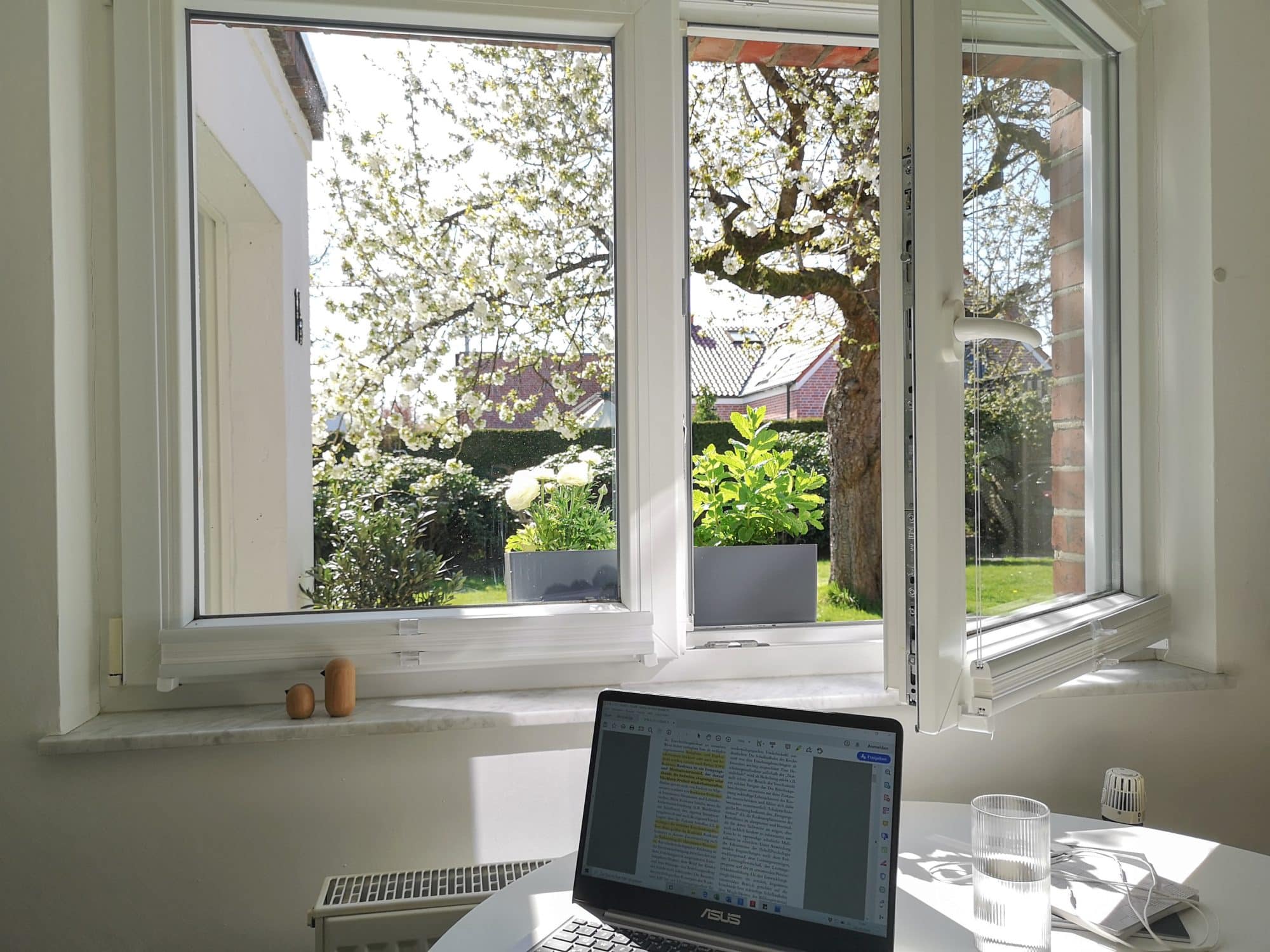 Blick aus dem Fenster - Aussicht auf den Garten mit Kirschbaum