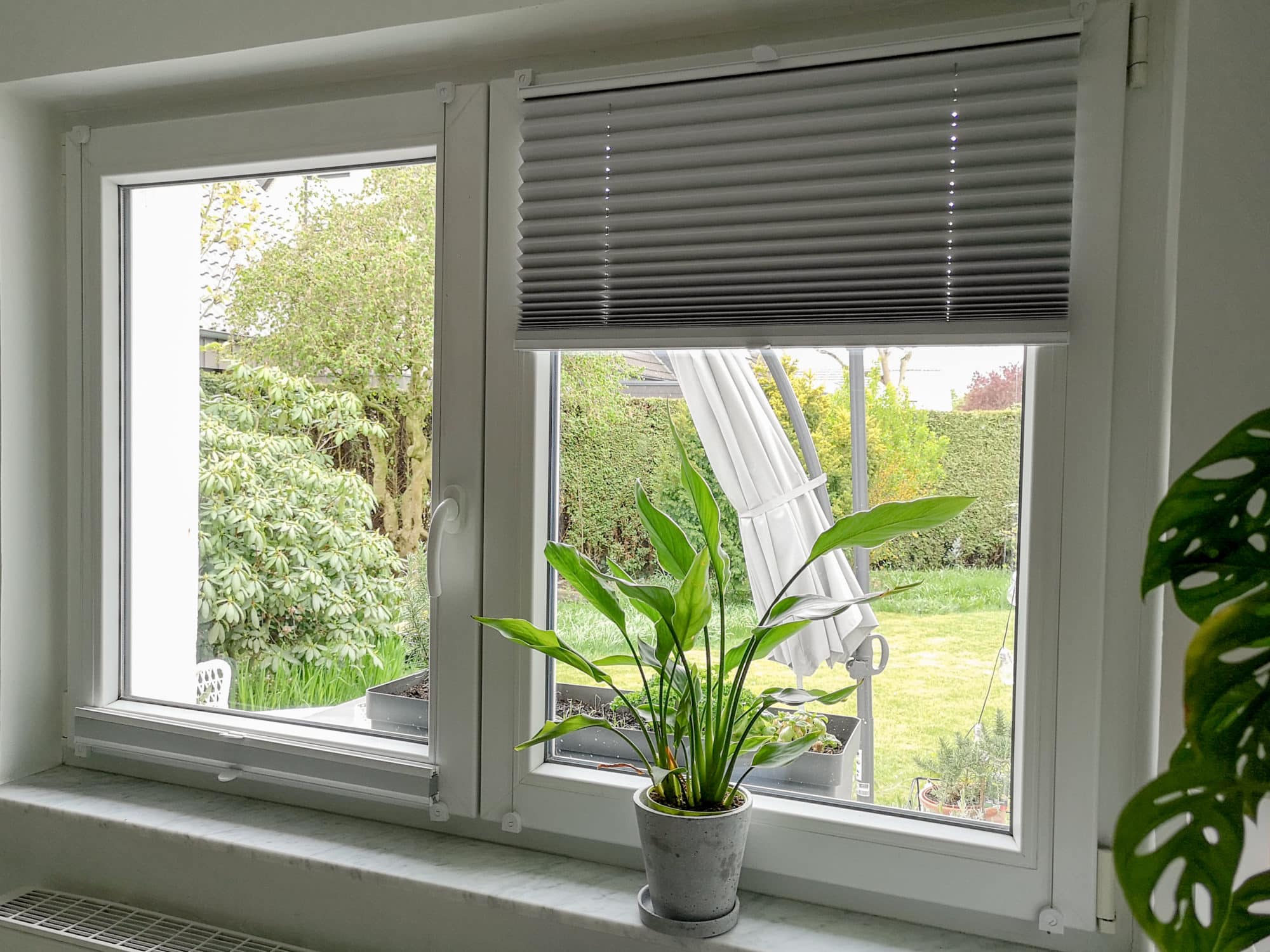 Ausblick aus dem Fenster mit Blick in den Garten